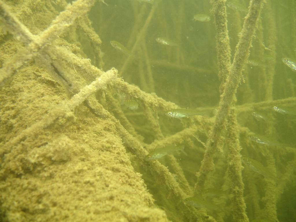 2008-06-29 11-00-26 H.JPG
